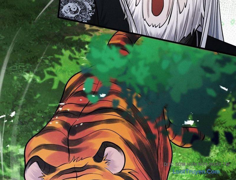 Gặp Mạnh Thì Càng Mạnh, Tu Vi Của Ta Không Giới Hạn - Chapter 79 - Page 13