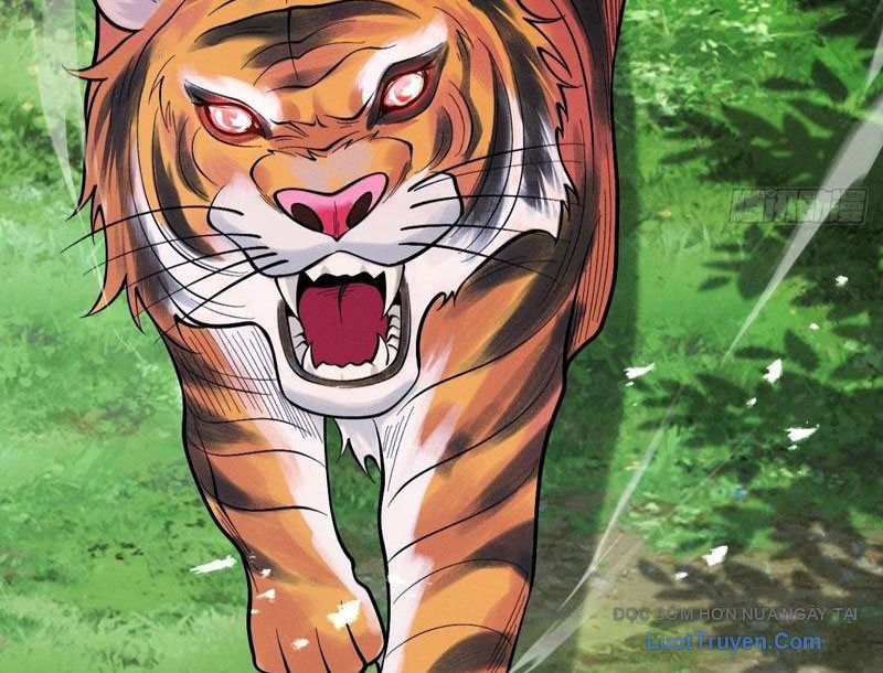 Gặp Mạnh Thì Càng Mạnh, Tu Vi Của Ta Không Giới Hạn - Chapter 79 - Page 14