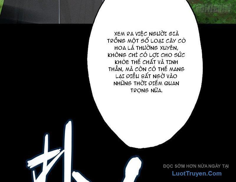 Gặp Mạnh Thì Càng Mạnh, Tu Vi Của Ta Không Giới Hạn - Chapter 79 - Page 62