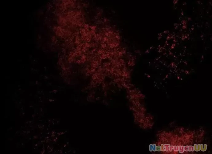 Đại Pháp Sư Của Tổ Đội Hồi Quy - Chapter 0 - Page 26