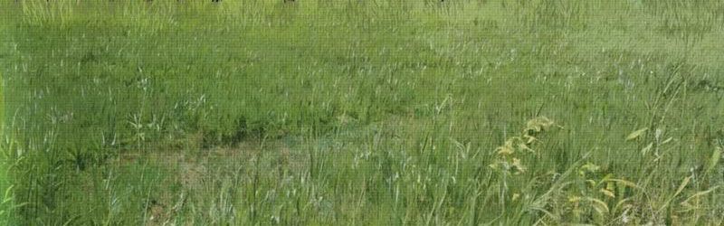 Đạo Vô Danh - Chapter 9 - Page 26