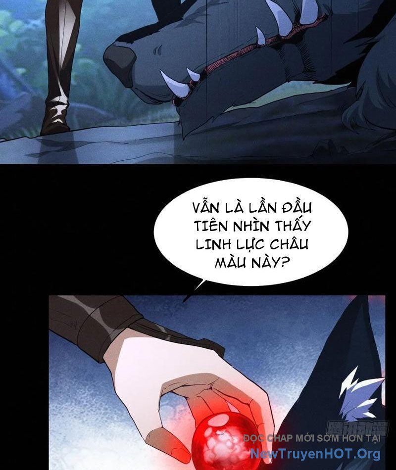 Giáo Chủ Ma Giáo Vụng Trộm Xem Ta Tu Luyện - Chapter 15 - Page 5