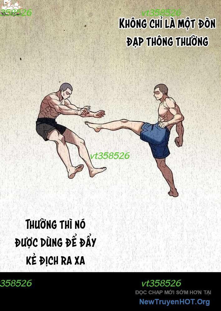 Lão Đại Trung Niên Không Danh - Chapter 8 - Page 52