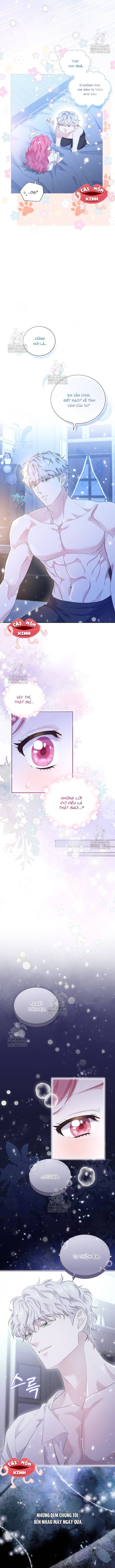 Khi Bị Nam Chính Dịu Dàng Nhưng Cố Chấp Ám Ảnh - Chapter 1 - Page 3