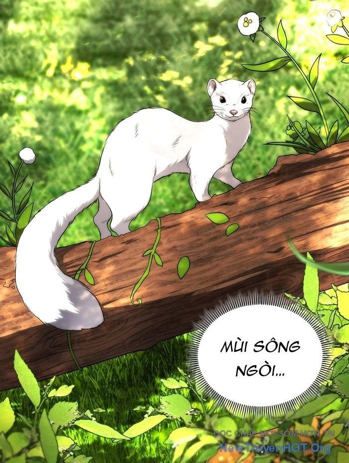 Trở Thành Man Di Ở Thế Giới Fantasy - Chapter 5 - Page 3