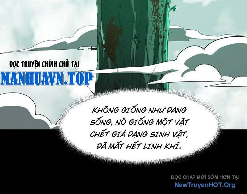 Sau Khi Chia Tay Hoa Khôi, Võ Đạo Của Ta Thẳng Tới Cấp Thần - Chapter 13 - Page 27