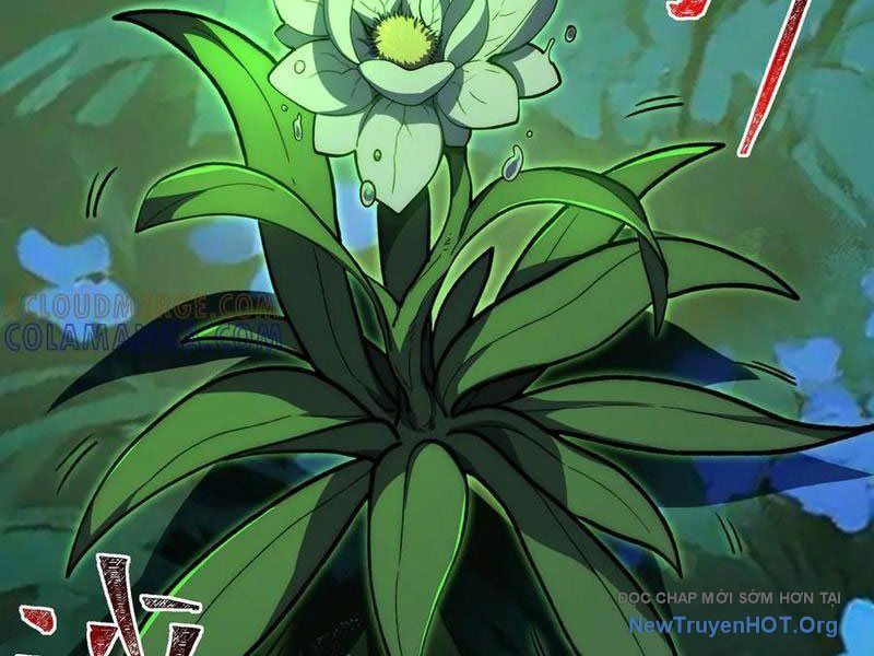 Sau Khi Chia Tay Hoa Khôi, Võ Đạo Của Ta Thẳng Tới Cấp Thần - Chapter 15 - Page 10