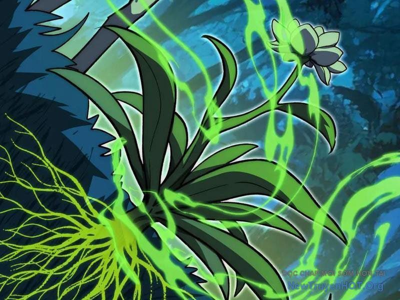 Sau Khi Chia Tay Hoa Khôi, Võ Đạo Của Ta Thẳng Tới Cấp Thần - Chapter 15 - Page 13