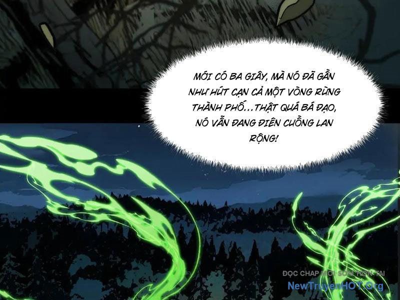 Sau Khi Chia Tay Hoa Khôi, Võ Đạo Của Ta Thẳng Tới Cấp Thần - Chapter 15 - Page 17