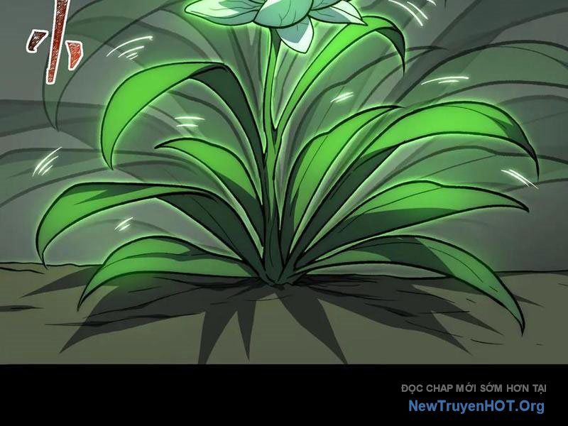 Sau Khi Chia Tay Hoa Khôi, Võ Đạo Của Ta Thẳng Tới Cấp Thần - Chapter 15 - Page 21