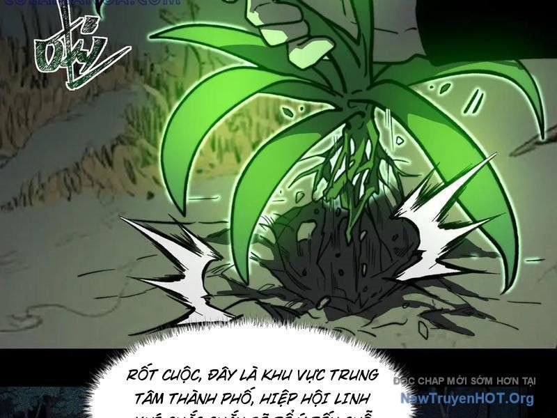 Sau Khi Chia Tay Hoa Khôi, Võ Đạo Của Ta Thẳng Tới Cấp Thần - Chapter 15 - Page 23