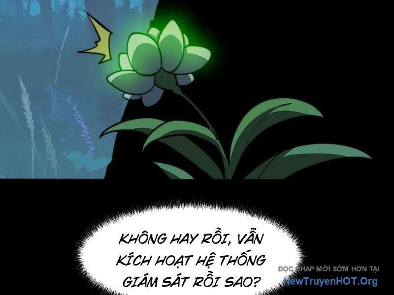 Sau Khi Chia Tay Hoa Khôi, Võ Đạo Của Ta Thẳng Tới Cấp Thần - Chapter 15 - Page 33