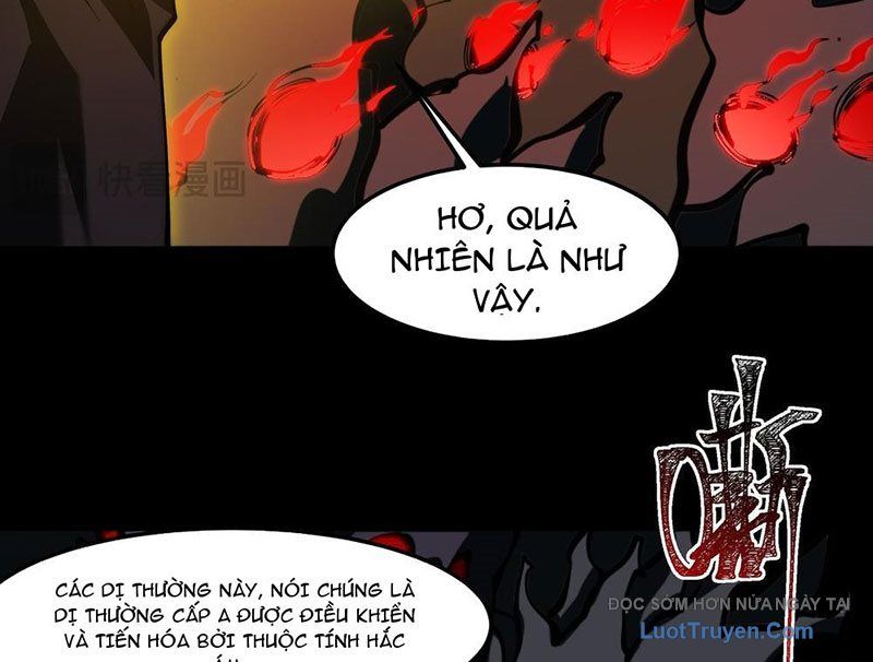 Sau Khi Chia Tay Hoa Khôi, Võ Đạo Của Ta Thẳng Tới Cấp Thần - Chapter 24 - Page 41