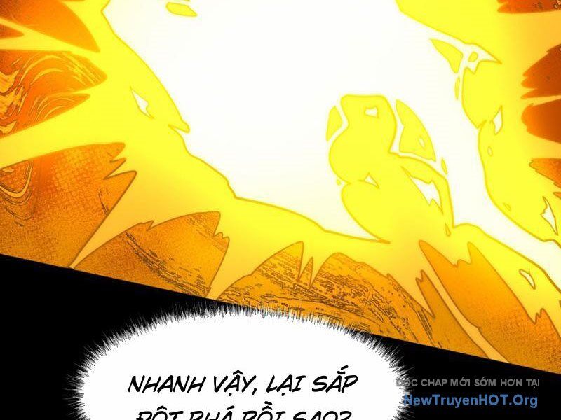 Sau Khi Chia Tay Hoa Khôi, Võ Đạo Của Ta Thẳng Tới Cấp Thần - Chapter 4 - Page 12