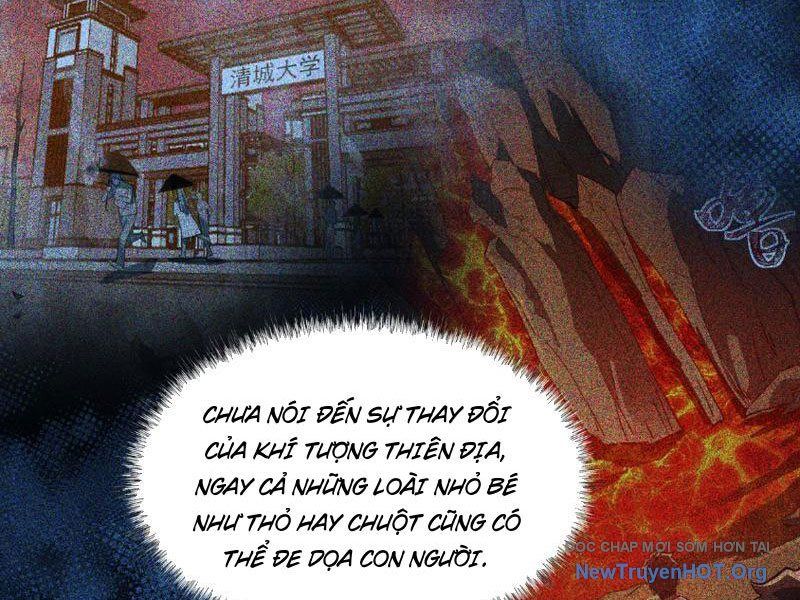 Sau Khi Chia Tay Hoa Khôi, Võ Đạo Của Ta Thẳng Tới Cấp Thần - Chapter 7 - Page 36