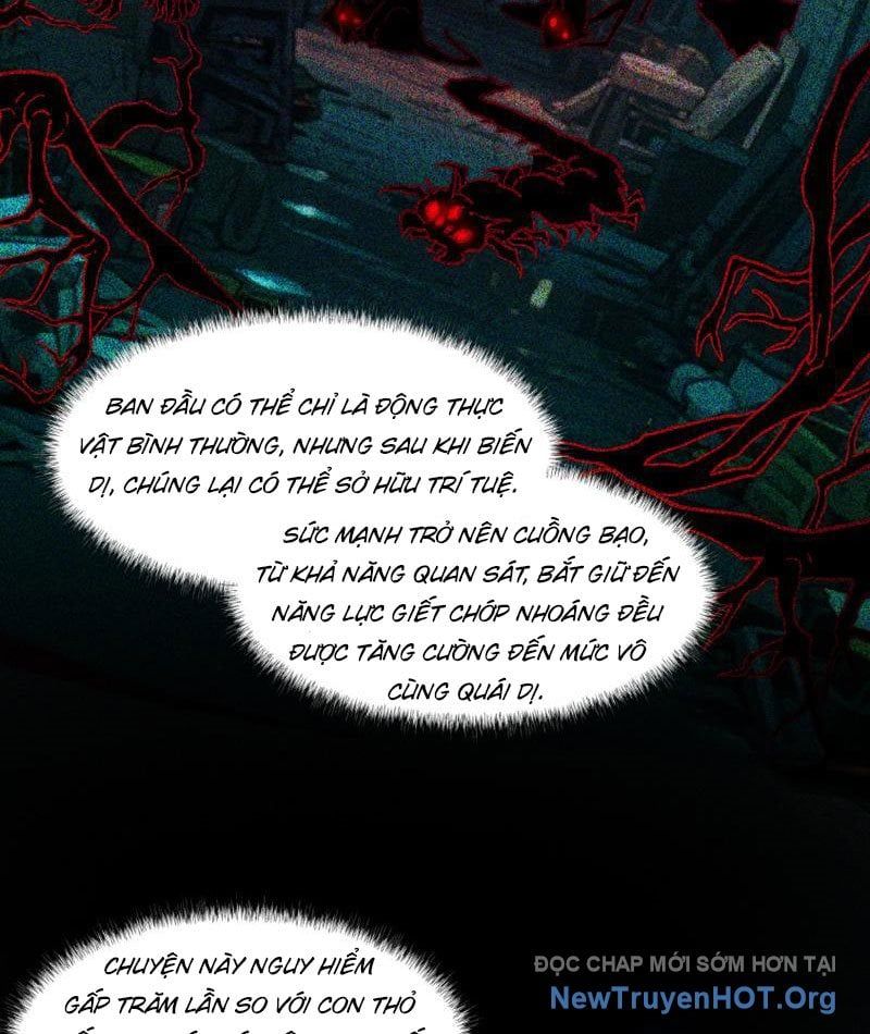 Sau Khi Chia Tay Hoa Khôi, Võ Đạo Của Ta Thẳng Tới Cấp Thần - Chapter 8 - Page 43