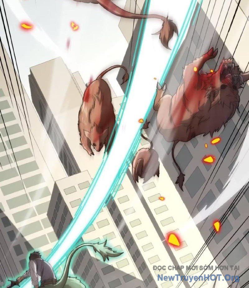 Dị Biến Giáng Lâm Nhân Gian: Kế Hoạch Thanh Trừ Người Chơi - Chapter 11 - Page 49