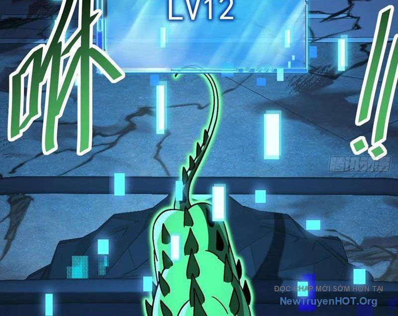 Dị Biến Giáng Lâm Nhân Gian: Kế Hoạch Thanh Trừ Người Chơi - Chapter 32 - Page 11