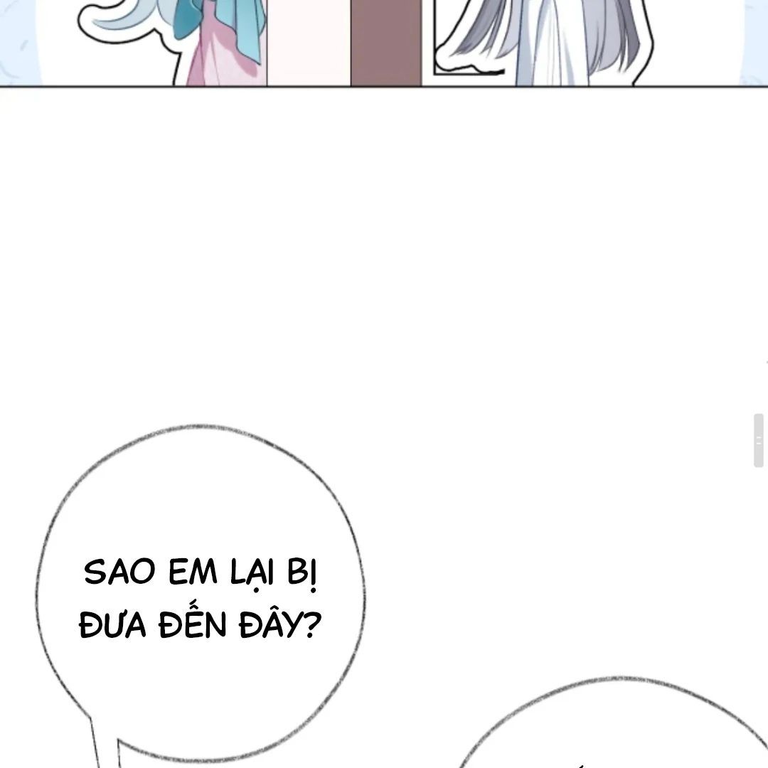 Decibel Nhịp Tim - Chapter 14 - Page 41