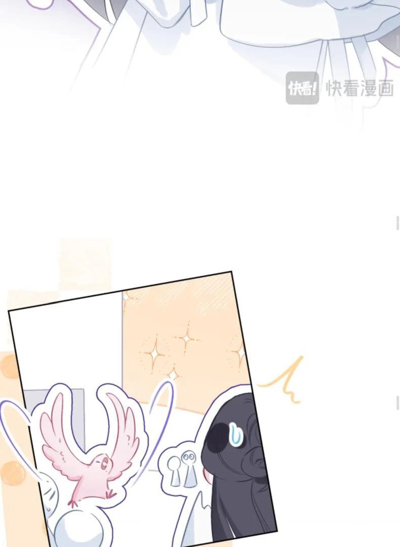 Decibel Nhịp Tim - Chapter 5 - Page 43