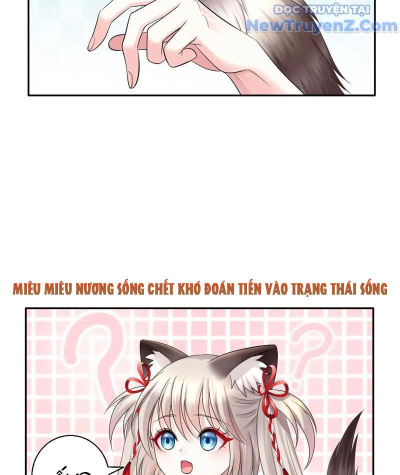 Sau Khi Mẹ Bị Giết, Tôi Trở Thành Miêu Nương - Chapter 11 - Page 33