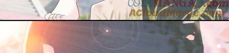 Sau Khi Mẹ Bị Giết, Tôi Trở Thành Miêu Nương - Chapter 28 - Page 72