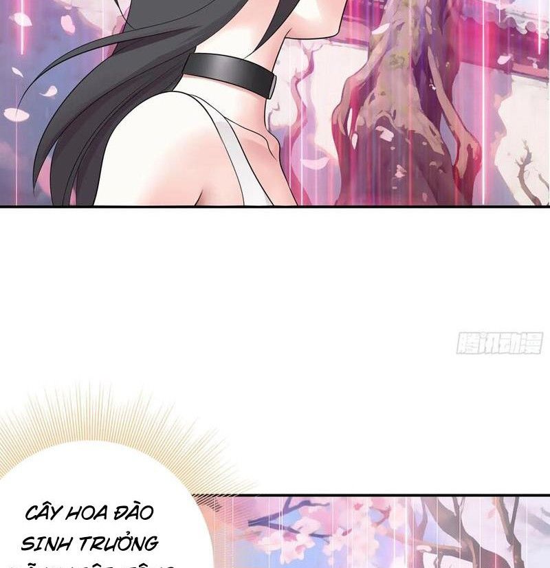 Sau Khi Mẹ Bị Giết, Tôi Trở Thành Miêu Nương - Chapter 29 - Page 24