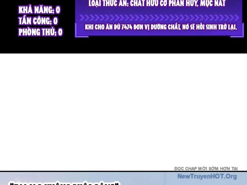 Sau Khi Mẹ Bị Giết, Tôi Trở Thành Miêu Nương - Chapter 40 - Page 51