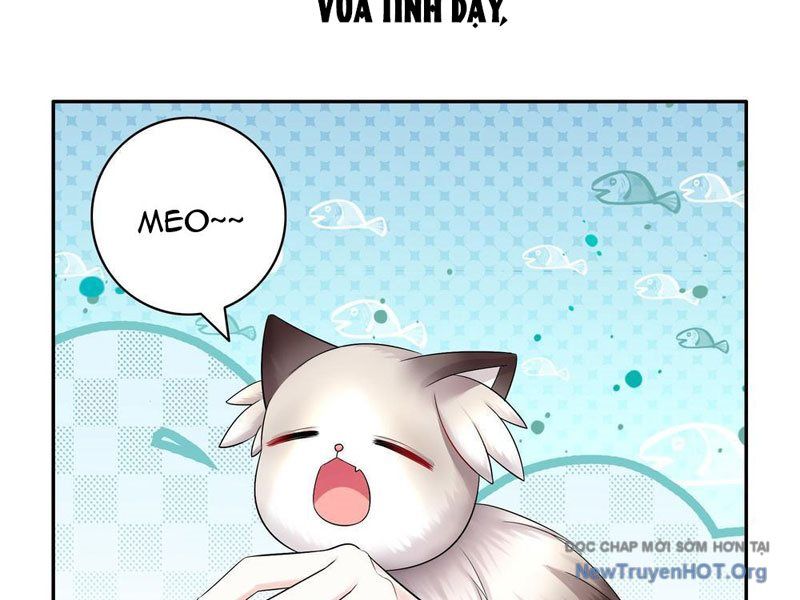 Sau Khi Mẹ Bị Giết, Tôi Trở Thành Miêu Nương - Chapter 41 - Page 29