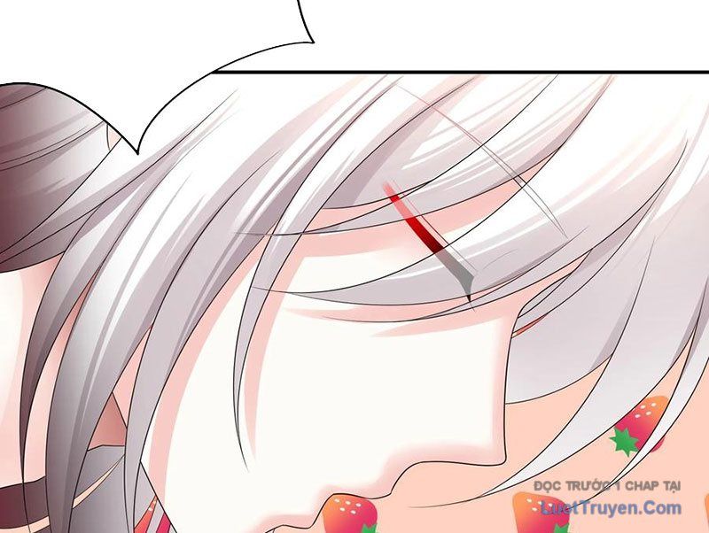 Sau Khi Mẹ Bị Giết, Tôi Trở Thành Miêu Nương - Chapter 48 - Page 73