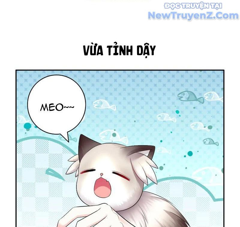 Sau Khi Mẹ Bị Giết, Tôi Trở Thành Miêu Nương - Chapter 9 - Page 25