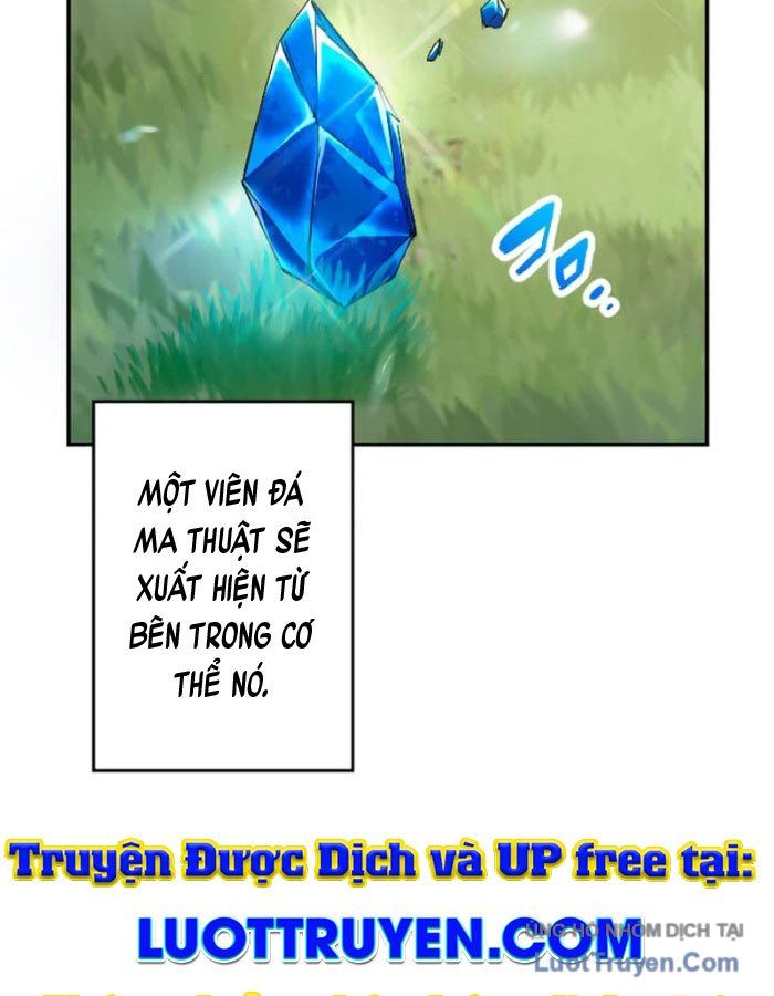 Đại Hiền Giả Sở Hữu Trăm Ma Thạch - Chapter 1 - Page 12