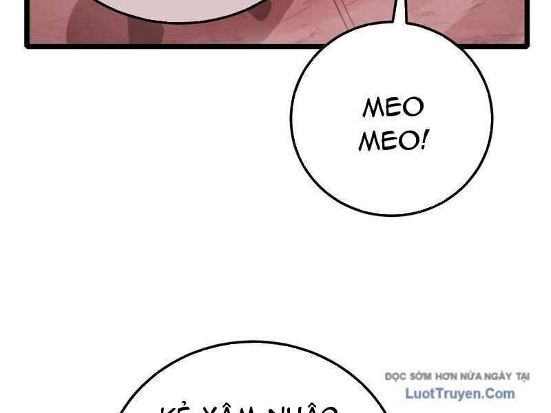 Vô Địch Bị Động Tạo Ra Tấn Sát Thương - Chapter 116 - Page 149