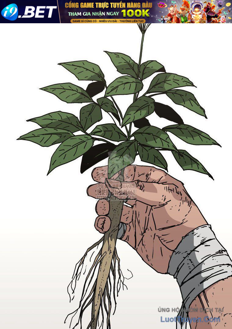 Quân Lâm Thiên Hạ 2 - Chapter 3 - Page 62