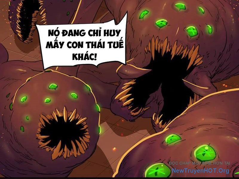 Hộp Mãnh Thú: Kỷ Nguyên Cơ Giáp - Chapter 37 - Page 10