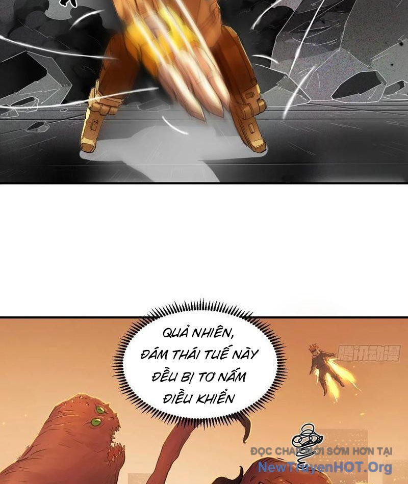 Hộp Mãnh Thú: Kỷ Nguyên Cơ Giáp - Chapter 41 - Page 15