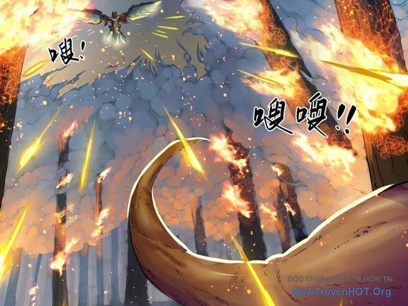 Hộp Mãnh Thú: Kỷ Nguyên Cơ Giáp - Chapter 45 - Page 11