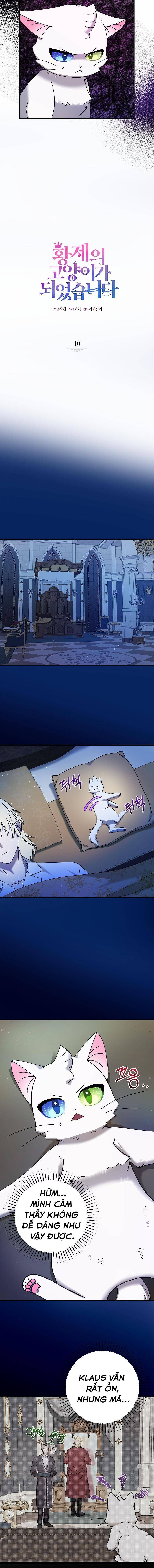 Trở Thành Miêu Nữ Của Hoàng Đế - Chapter 10 - Page 8