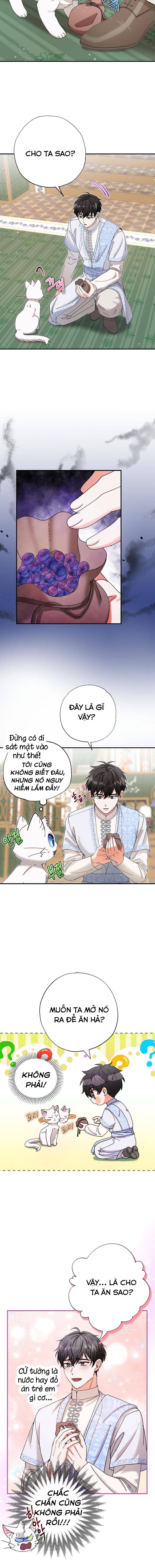 Trở Thành Miêu Nữ Của Hoàng Đế - Chapter 11 - Page 10