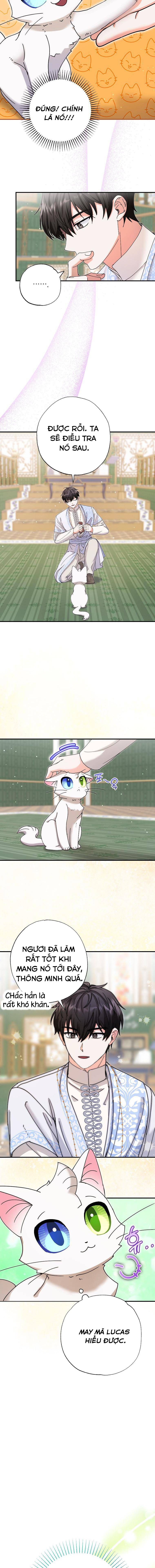 Trở Thành Miêu Nữ Của Hoàng Đế - Chapter 11 - Page 12