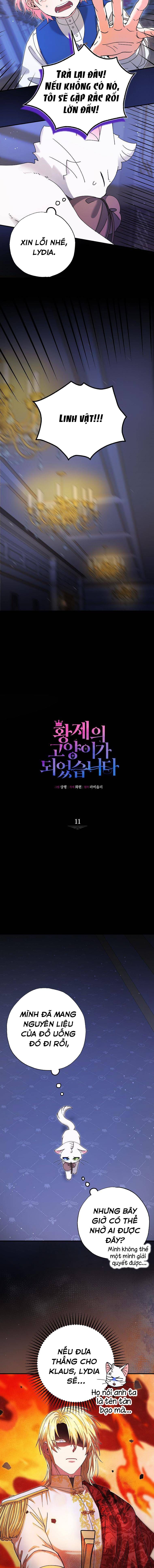 Trở Thành Miêu Nữ Của Hoàng Đế - Chapter 11 - Page 6