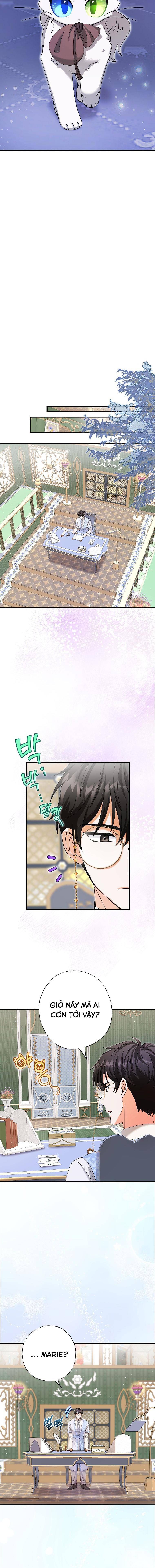 Trở Thành Miêu Nữ Của Hoàng Đế - Chapter 11 - Page 8