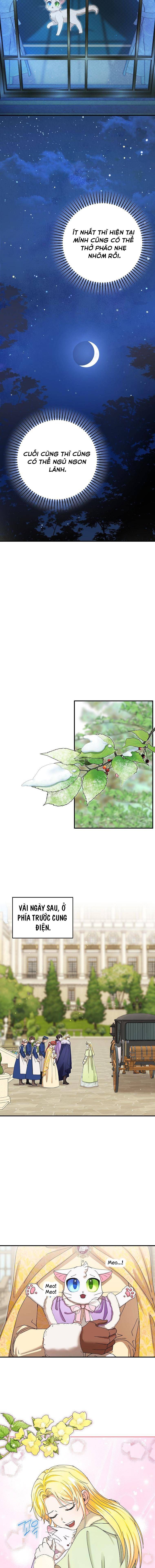 Trở Thành Miêu Nữ Của Hoàng Đế - Chapter 12 - Page 10