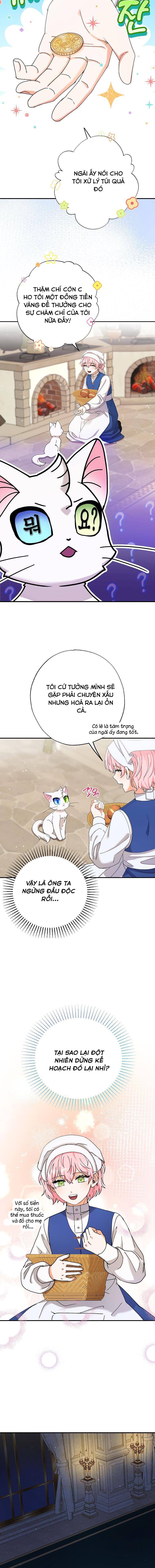 Trở Thành Miêu Nữ Của Hoàng Đế - Chapter 12 - Page 7