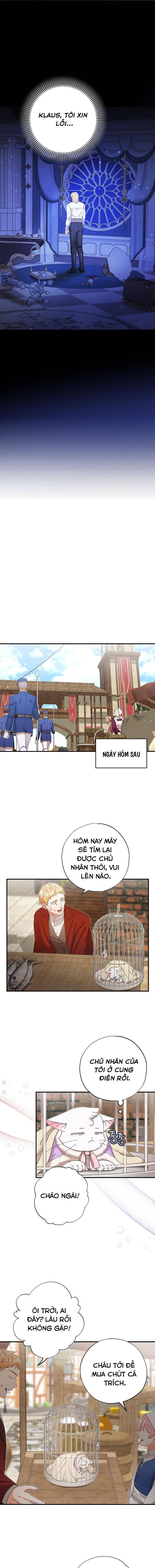 Trở Thành Miêu Nữ Của Hoàng Đế - Chapter 15 - Page 9