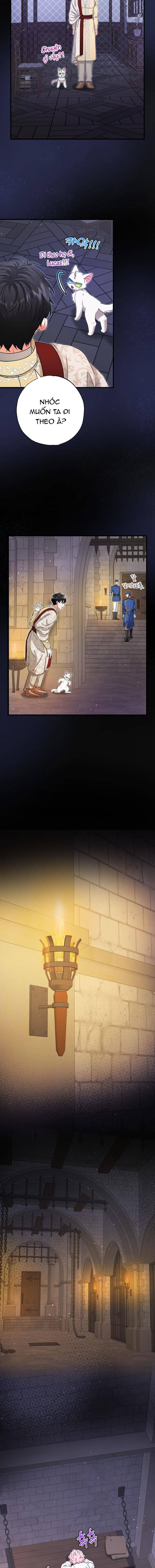 Trở Thành Miêu Nữ Của Hoàng Đế - Chapter 17 - Page 15
