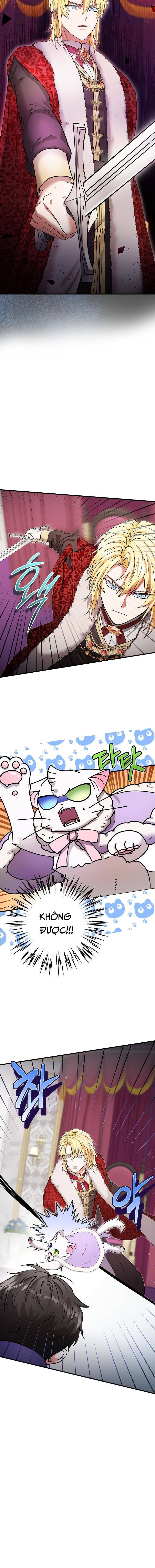 Trở Thành Miêu Nữ Của Hoàng Đế - Chapter 17 - Page 3