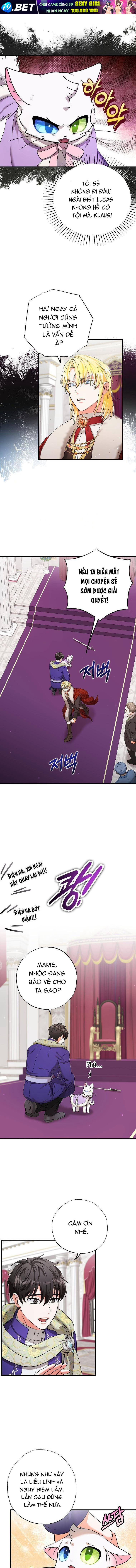 Trở Thành Miêu Nữ Của Hoàng Đế - Chapter 17 - Page 5