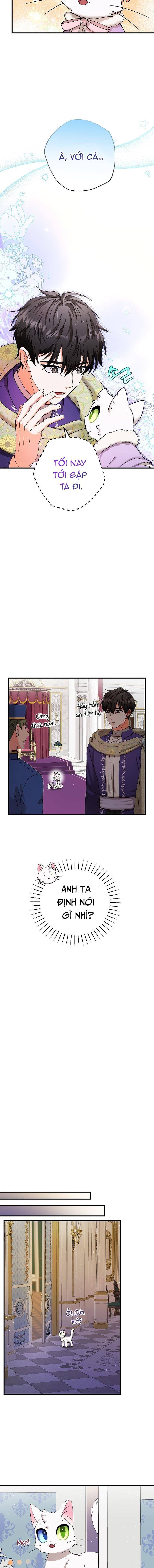 Trở Thành Miêu Nữ Của Hoàng Đế - Chapter 17 - Page 6