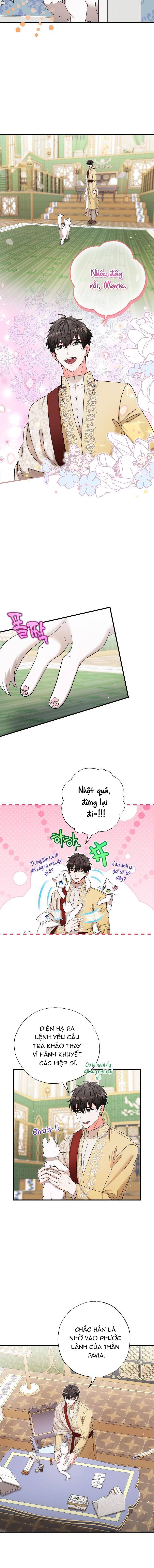 Trở Thành Miêu Nữ Của Hoàng Đế - Chapter 17 - Page 7